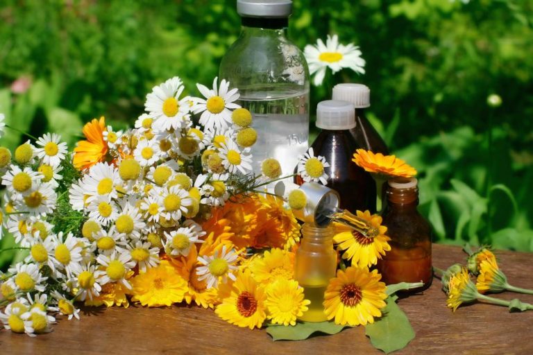 How to Make Herbal Tincture and Great Tincture Recipes