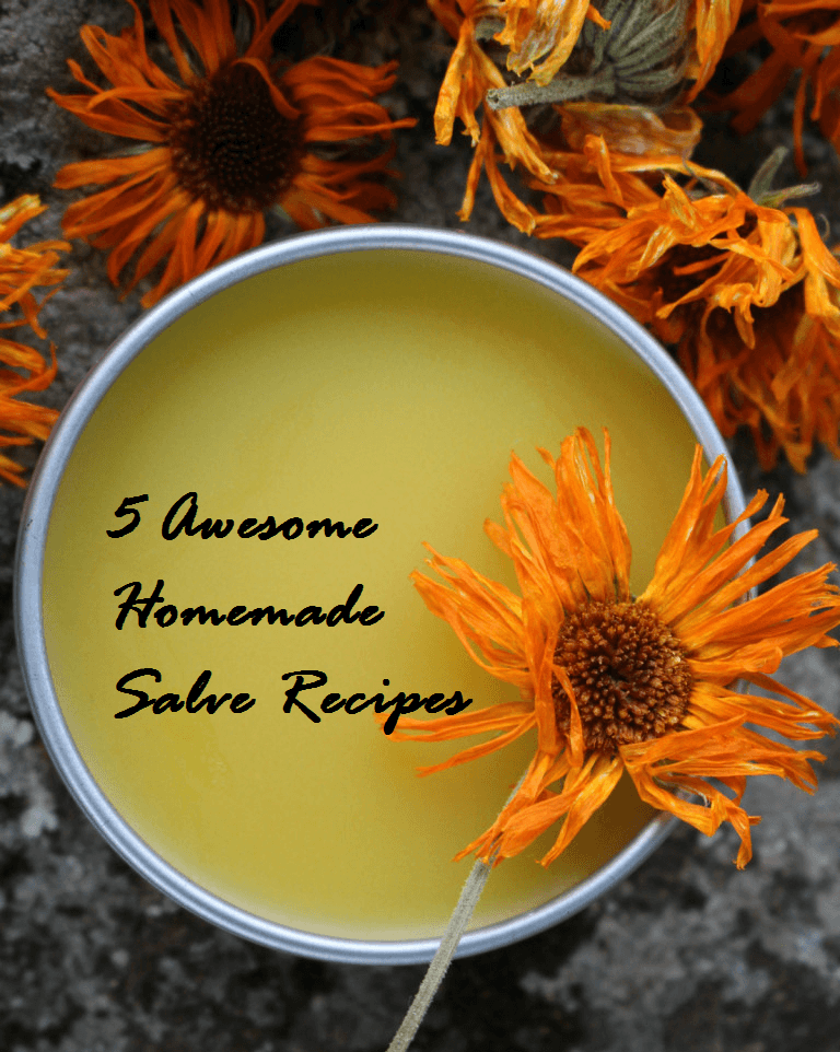 5 Great Herbal Salves You Can Easily Make at Home