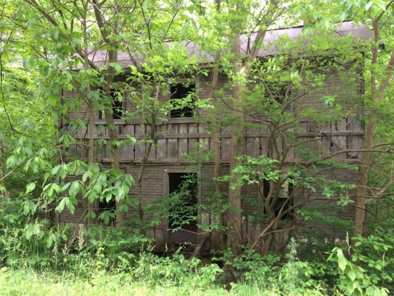 Pretty Abandoned Places – Mountain Home in Paw Paw
