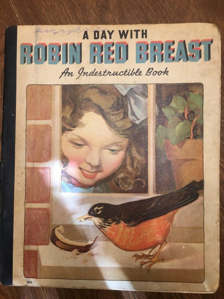 A Day with Robin Redbreast