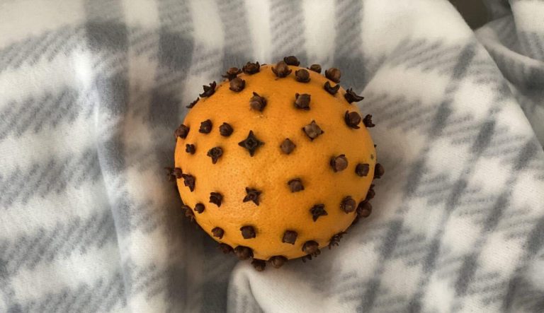 Orange Clove Pomanders – Easy Toddler Craft
