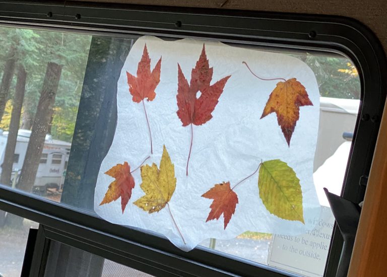 DIY Wax Paper Leaf Suncatchers