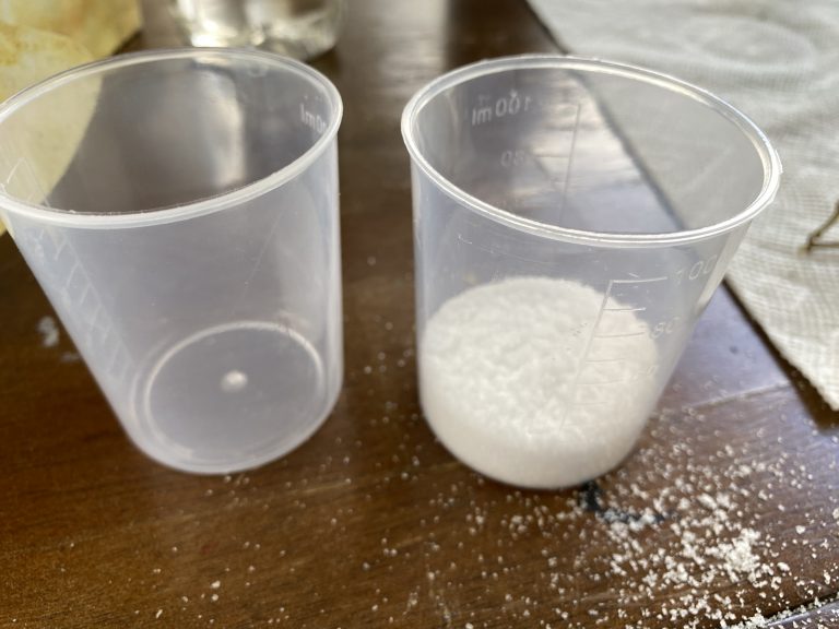 Salt Water versus Fresh Water Experiment